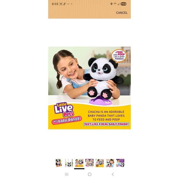 NIB Little Live Pets My Baby Talking Panda ChuChu with 50+ Sounds - Picture 3 of 9